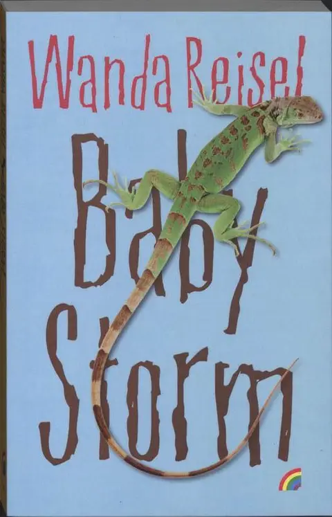 Omslag van Baby storm