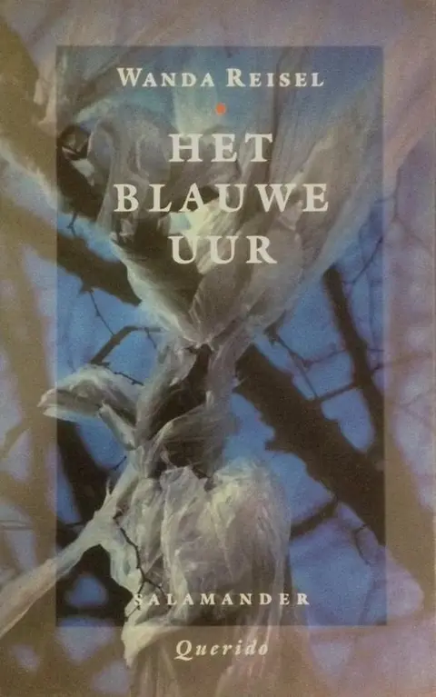Omslag van Het blauwe uur
