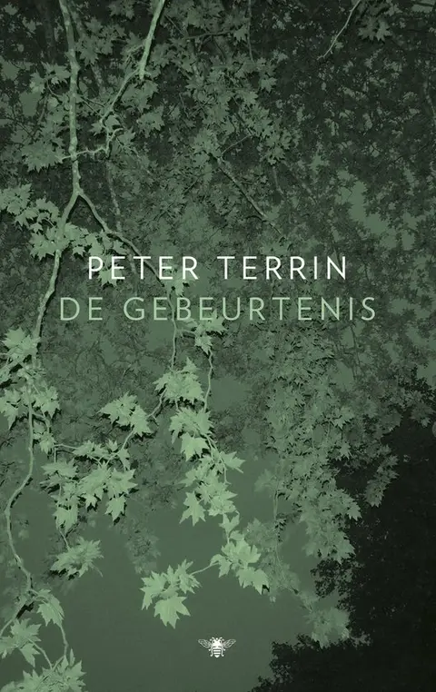 Omslag van De gebeurtenis