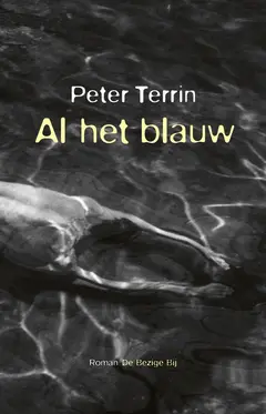 Omslag van Al het blauw