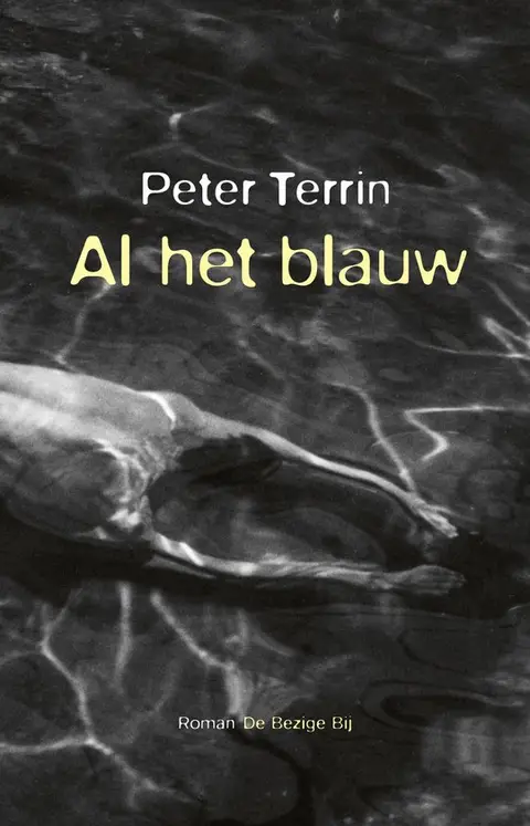 Omslag van Al het blauw