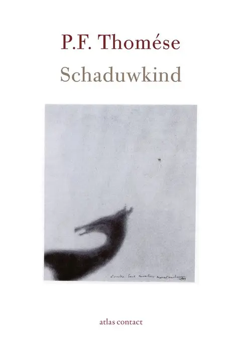 Omslag van Schaduwkind