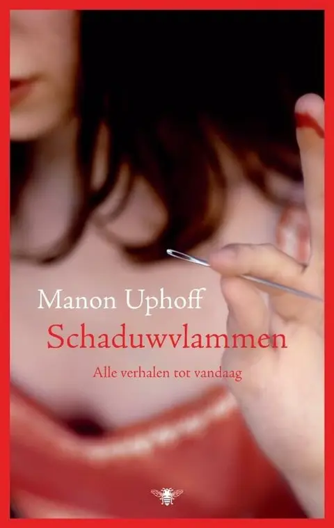Omslag van Schaduwvlammen