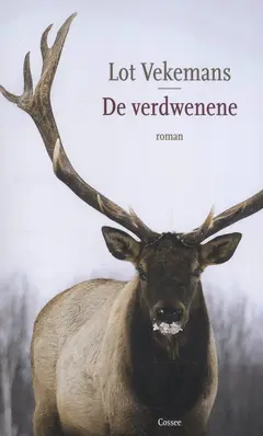 Omslag van De verdwenene