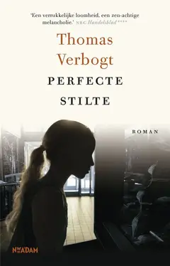 Omslag van Perfecte stilte