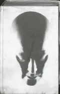 Omslag van Zwerm