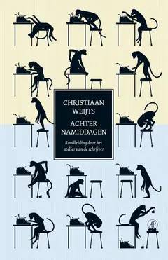 Omslag van Achternamiddagen