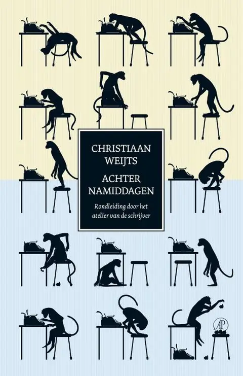 Omslag van Achternamiddagen