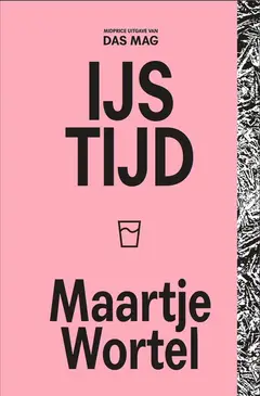 Omslag van IJstijd