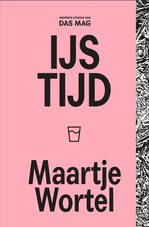 Omslag van IJstijd