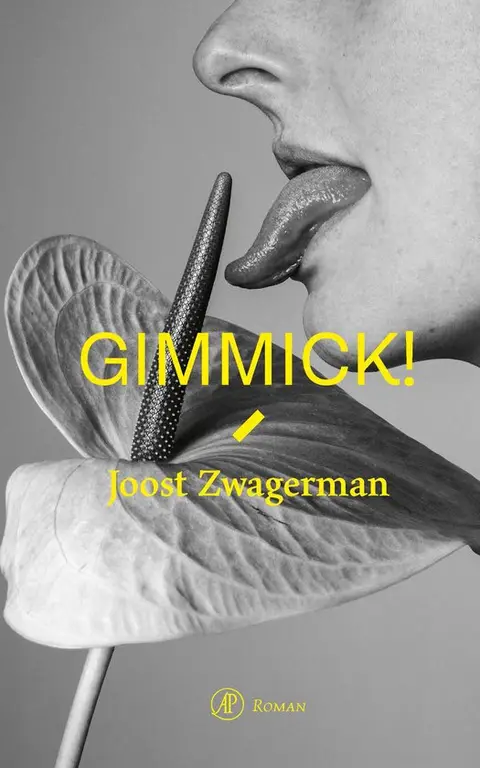 Omslag van Gimmick!