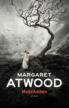 Omslag van MaddAddam