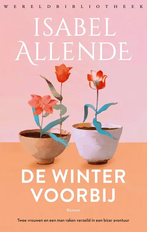 Omslag van De winter voorbij