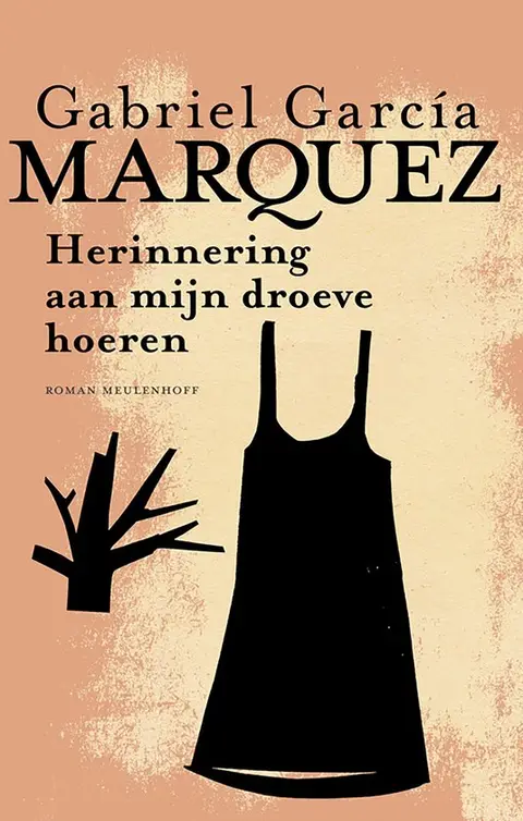 Omslag van Herinnering aan mijn droeve hoeren