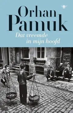 Omslag van Dat vreemde in mijn hoofd
