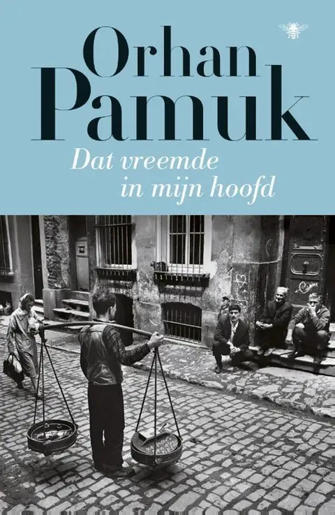 Omslag van Dat vreemde in mijn hoofd
