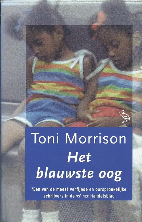 Omslag van Het blauwste oog
