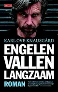 Omslag van Engelen vallen langzaam
