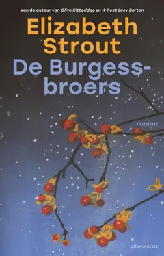 Omslag van De Burgess-broers