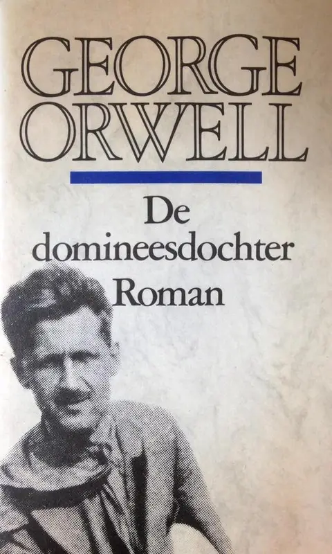Omslag van De domineesdochter
