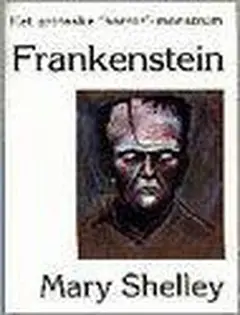 Omslag van Frankenstein, of De moderne Prometheus