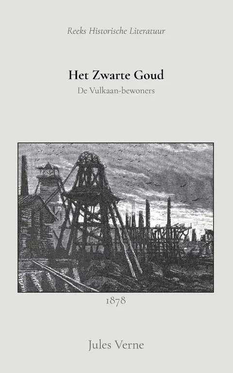 Omslag van Het zwarte goud