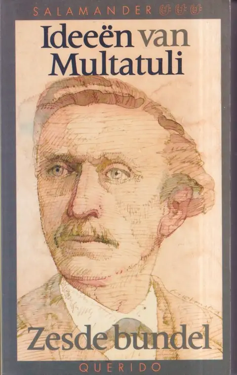 Omslag van Ideeën van Multatuli