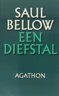 Omslag van Een diefstal