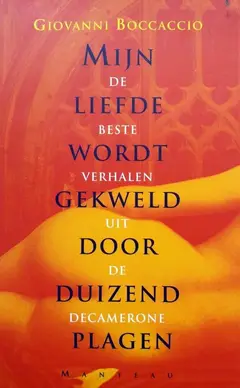 Omslag van Mijn liefde wordt gekweld door duizend plagen