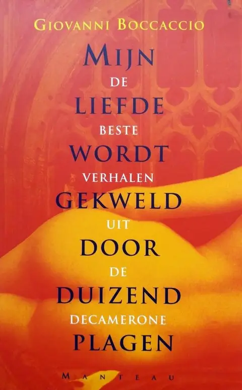 Omslag van Mijn liefde wordt gekweld door duizend plagen