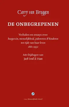 Omslag van De onbegrepenen