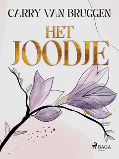 Omslag van Het Joodje