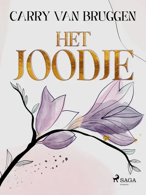 Omslag van Het Joodje