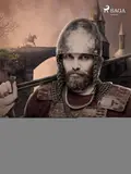 Omslag van De vernuftige jonkheer Don Quijote van de Mancha