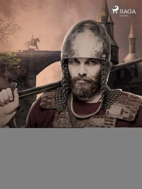 Omslag van De vernuftige jonkheer Don Quijote van de Mancha