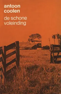 Omslag van De schoone voleinding