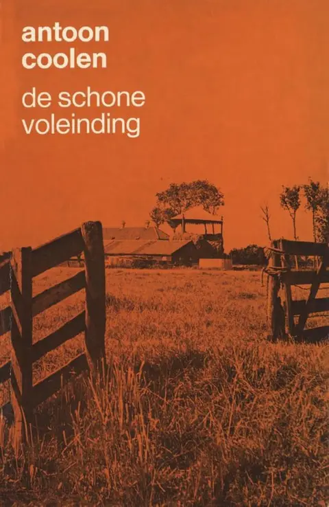 Omslag van De schoone voleinding