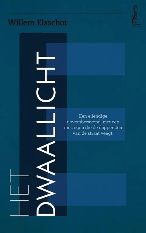 Omslag van Het dwaallicht