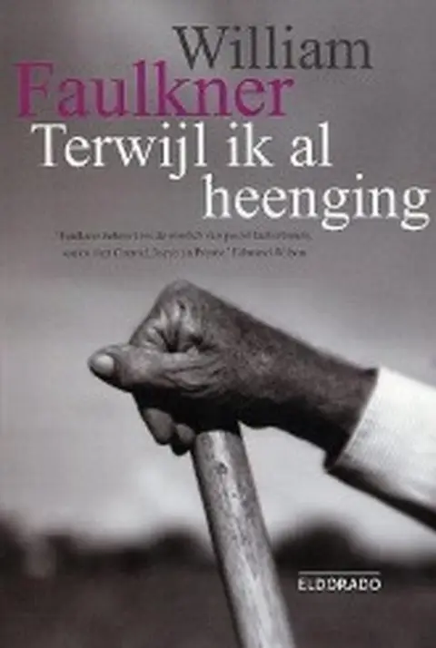 Omslag van Terwijl ik al heenging