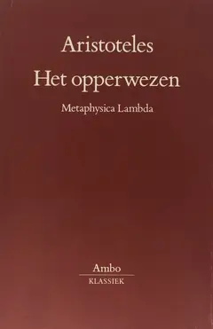 Omslag van Het opperwezen
