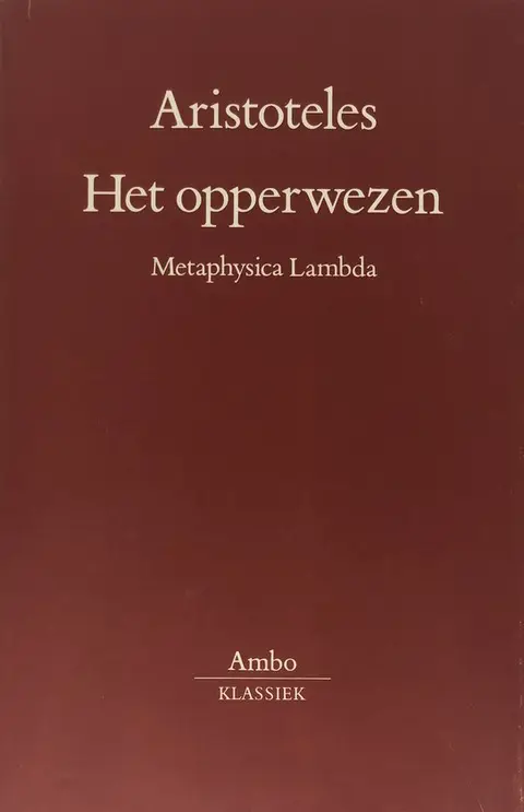 Omslag van Het opperwezen
