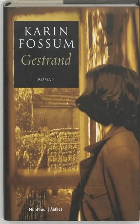 Omslag van Gestrand