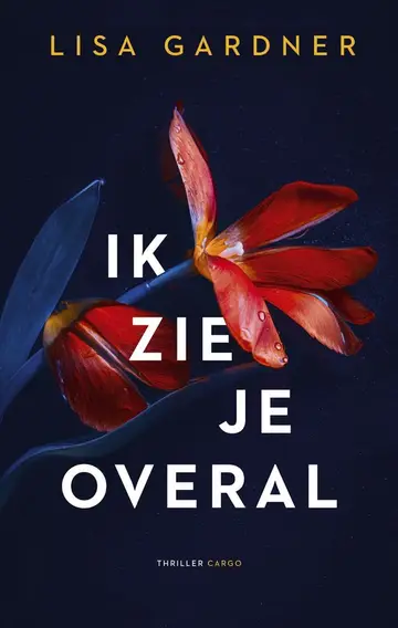 Omslag van Ik zie je overal