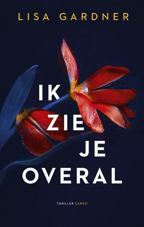 Omslag van Ik zie je overal