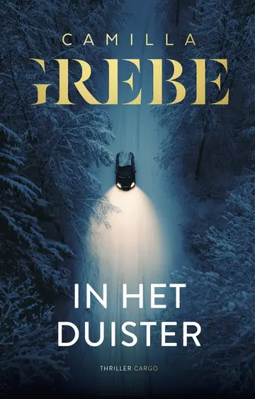 Omslag van In het duister