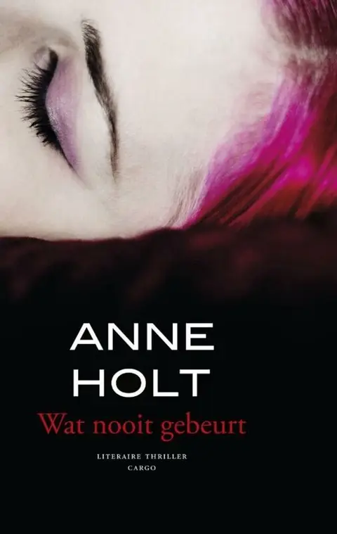 Omslag van Wat nooit gebeurt
