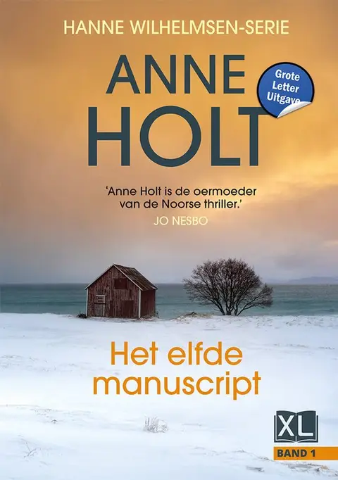 Omslag van Het elfde manuscript