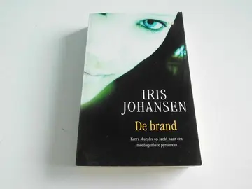 Omslag van De brand