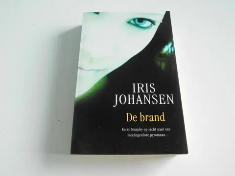 Omslag van De brand
