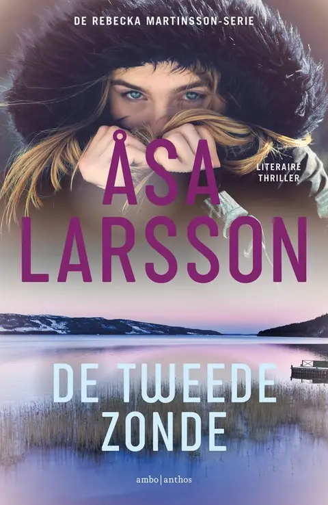 Omslag van De tweede zonde